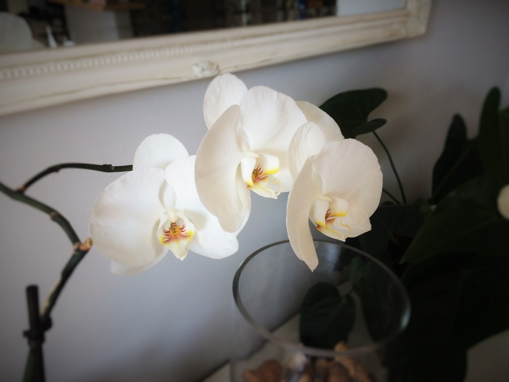 Fichier_000 (1).jpeg